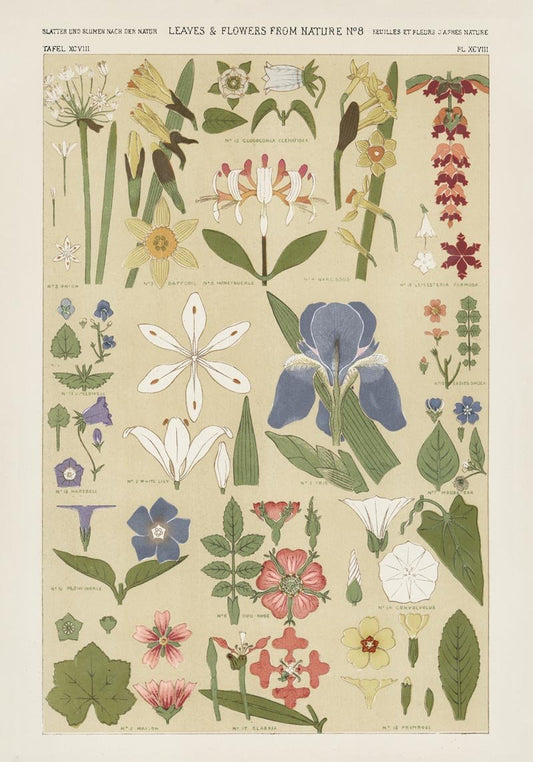 Leaves & Flowers Nr 8 Art Poster by Owen Jones.