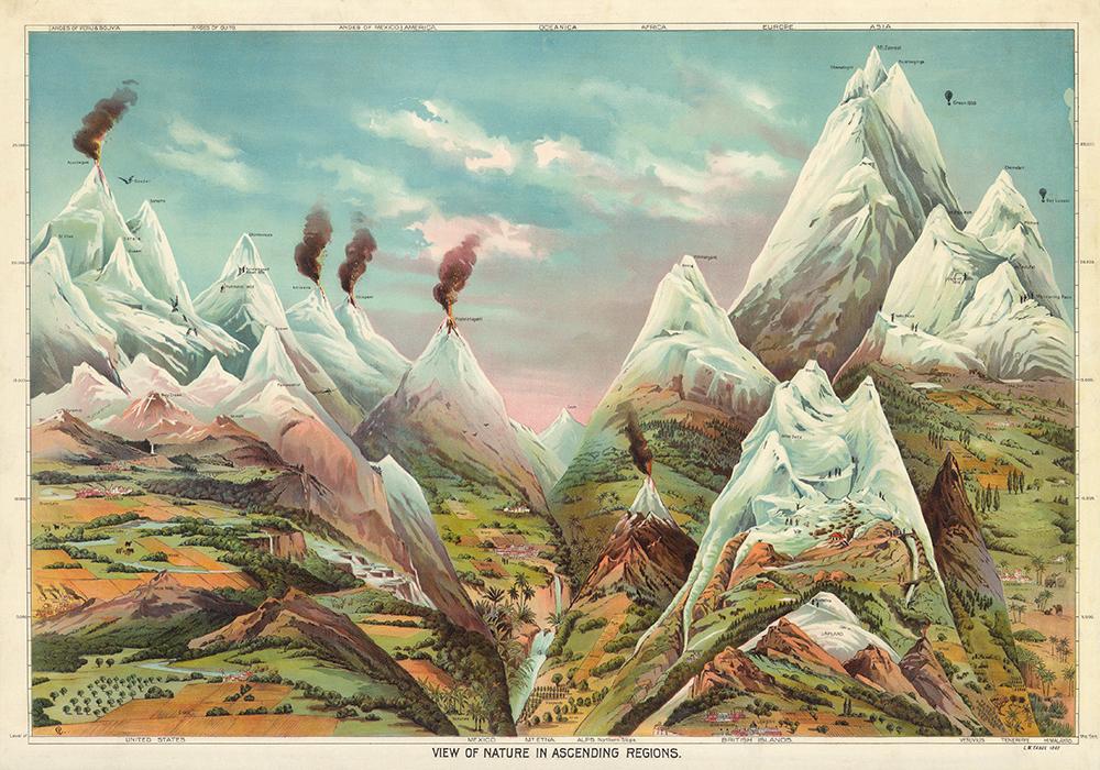 Nature in Ascending Regions Educational Vintage Poster - Kuriosis Vintage Prints