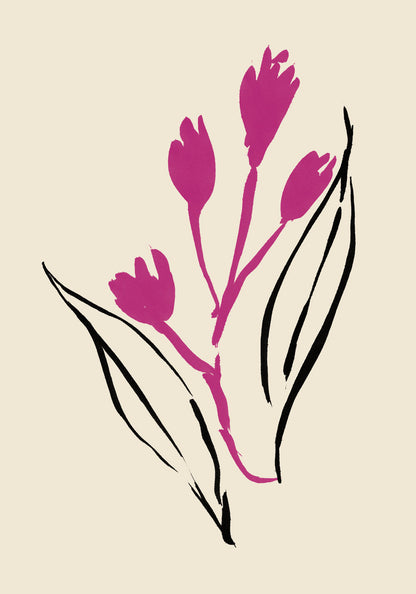 Magenta and Black lines