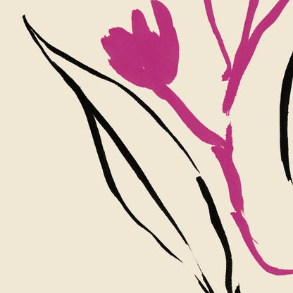 Magenta and Black lines