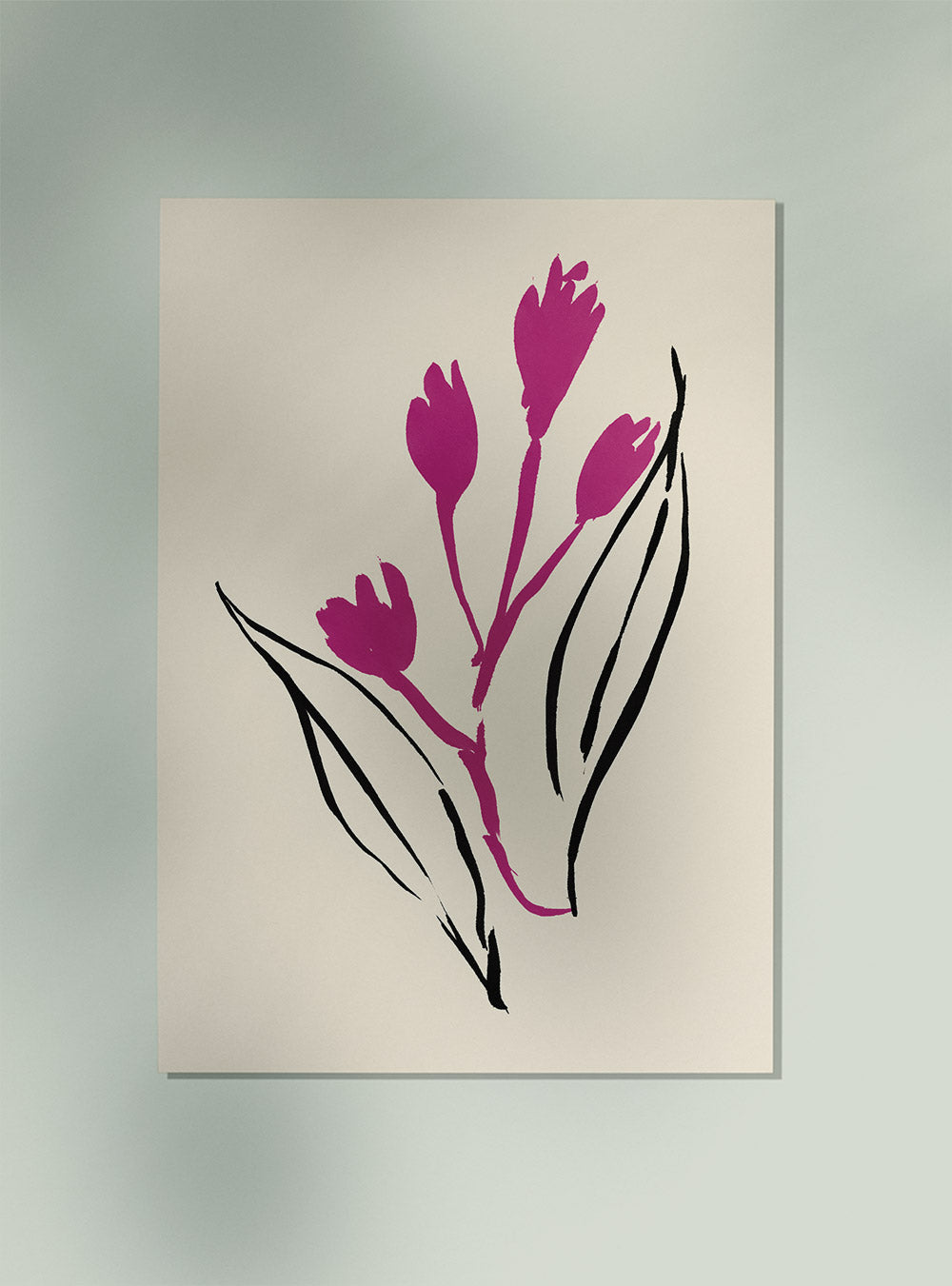 Magenta and Black lines