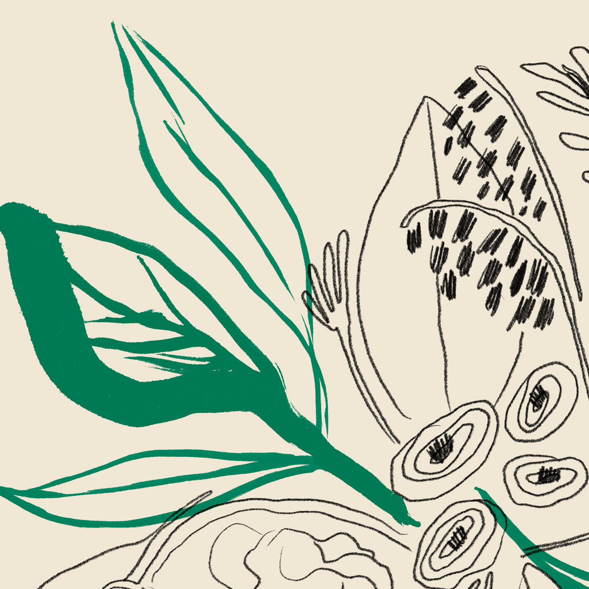 Bouquet Green and Black lines