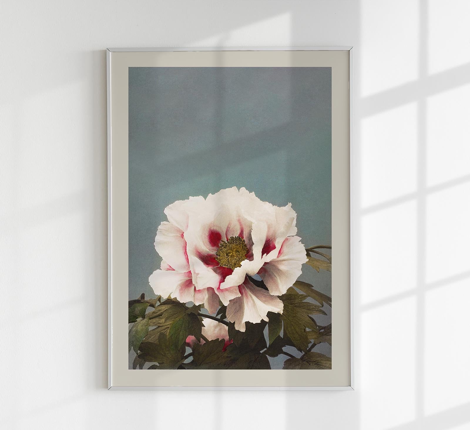 Tree Peony by Ogawa Kazumasa Japanese Art Poster 