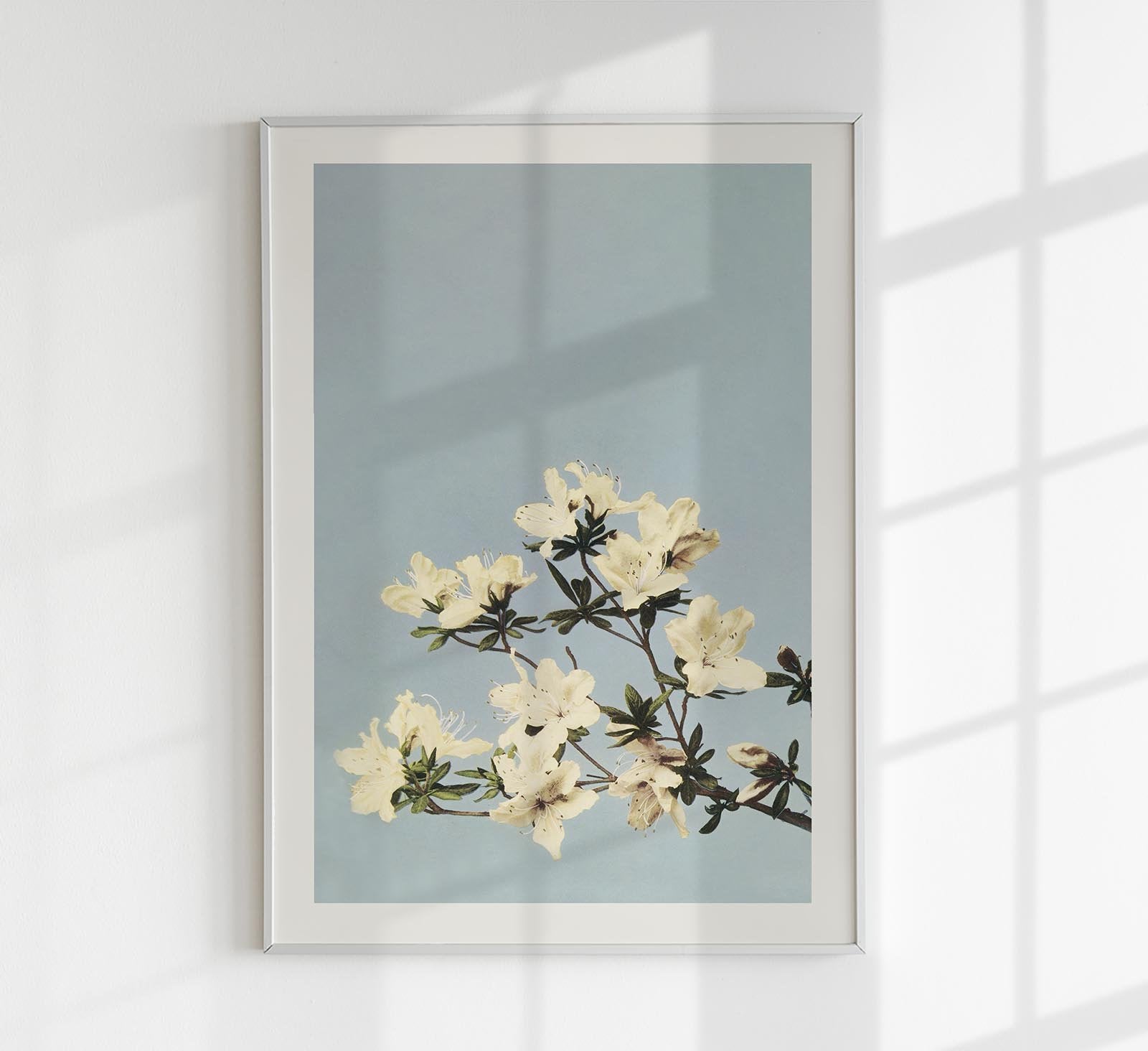 Japanese Azaleas by Ogawa Kazumasa Japanese Art Poster 