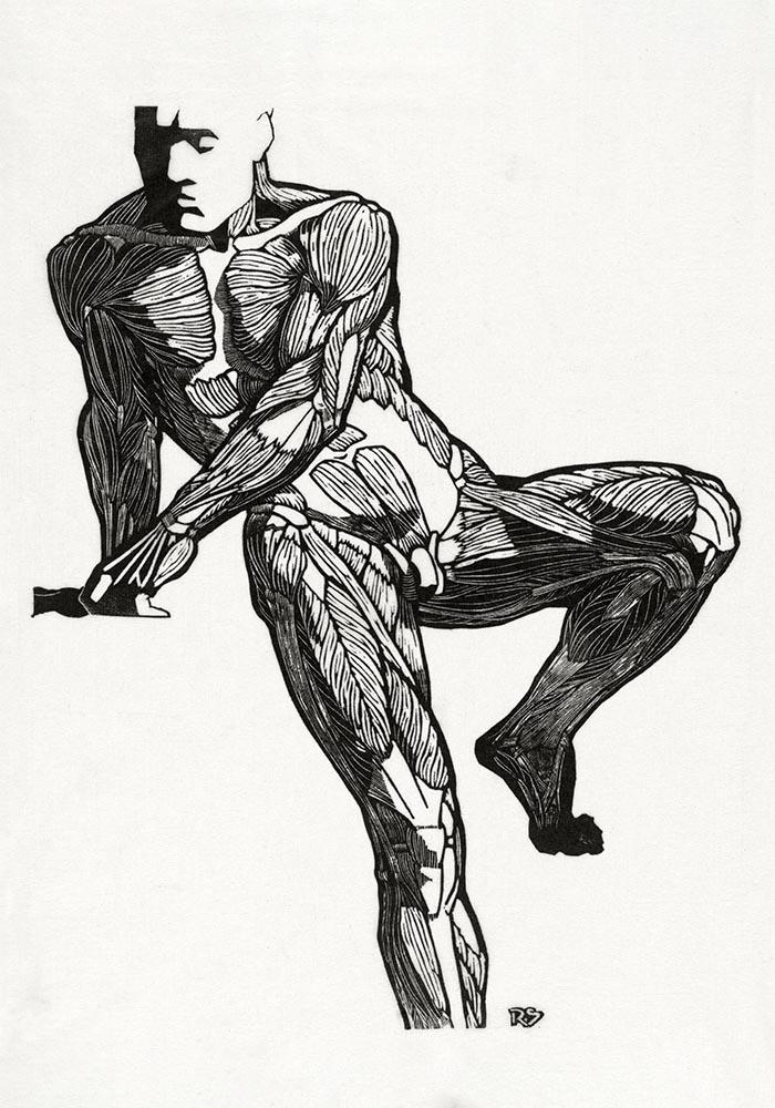 Anatomical Study Nr 6 by Reijer Stolk