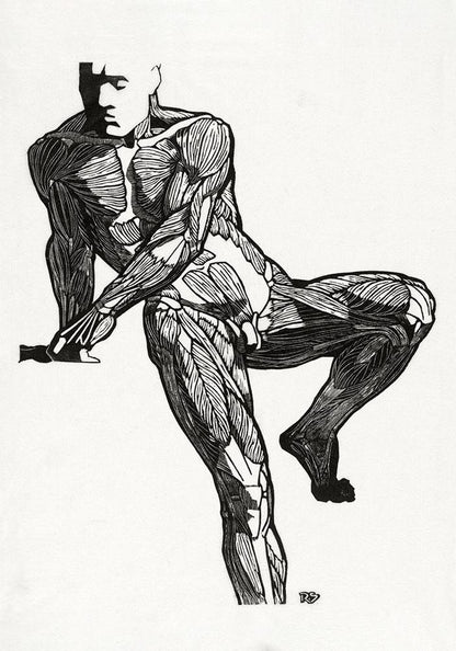 Anatomical Study Nr 6 by Reijer Stolk