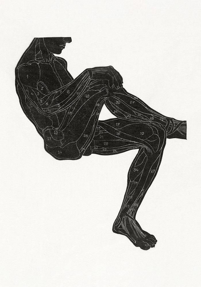 Anatomical Study Nr 8 by Reijer Stolk