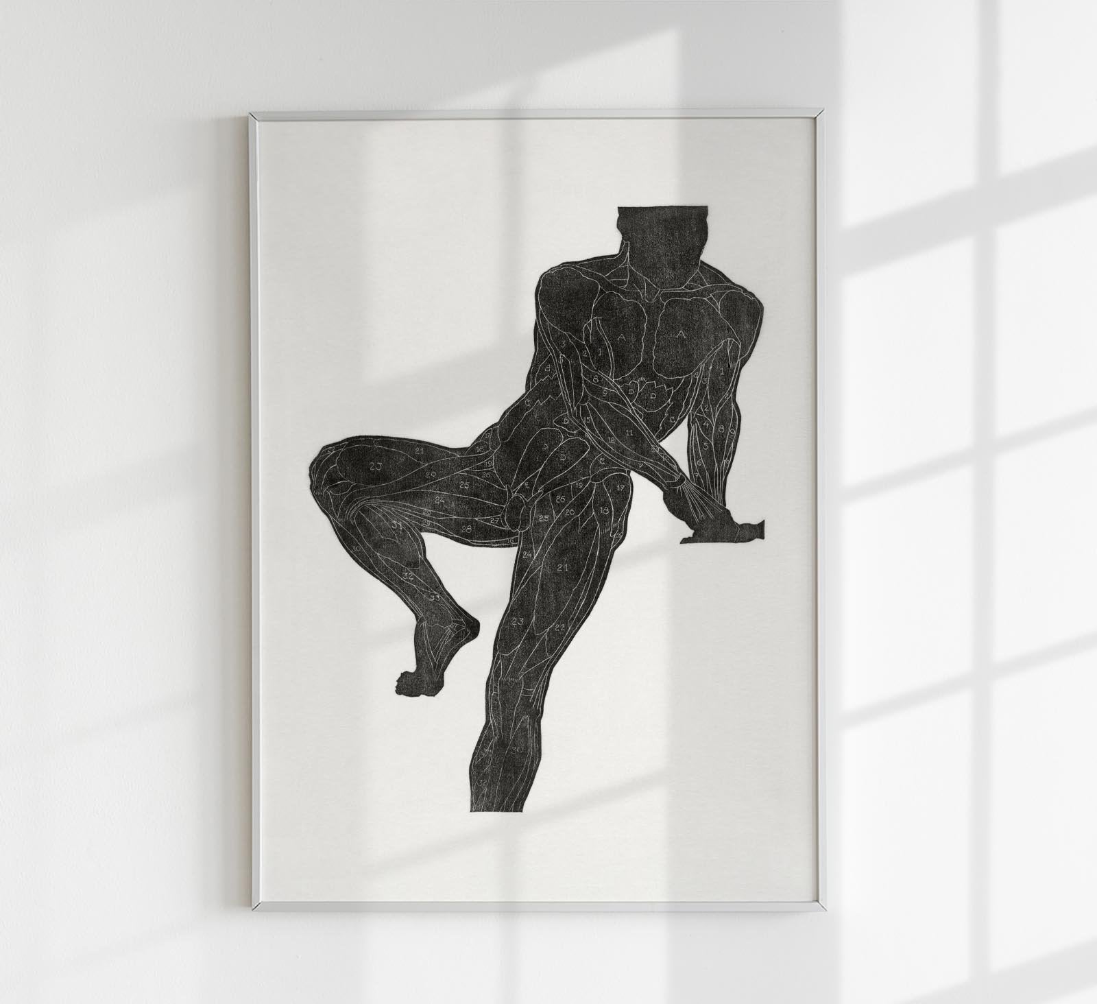 Anatomical Study Nr 9 by Reijer Stolk