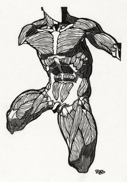 Anatomical Study Nr 11 by Reijer Stolk