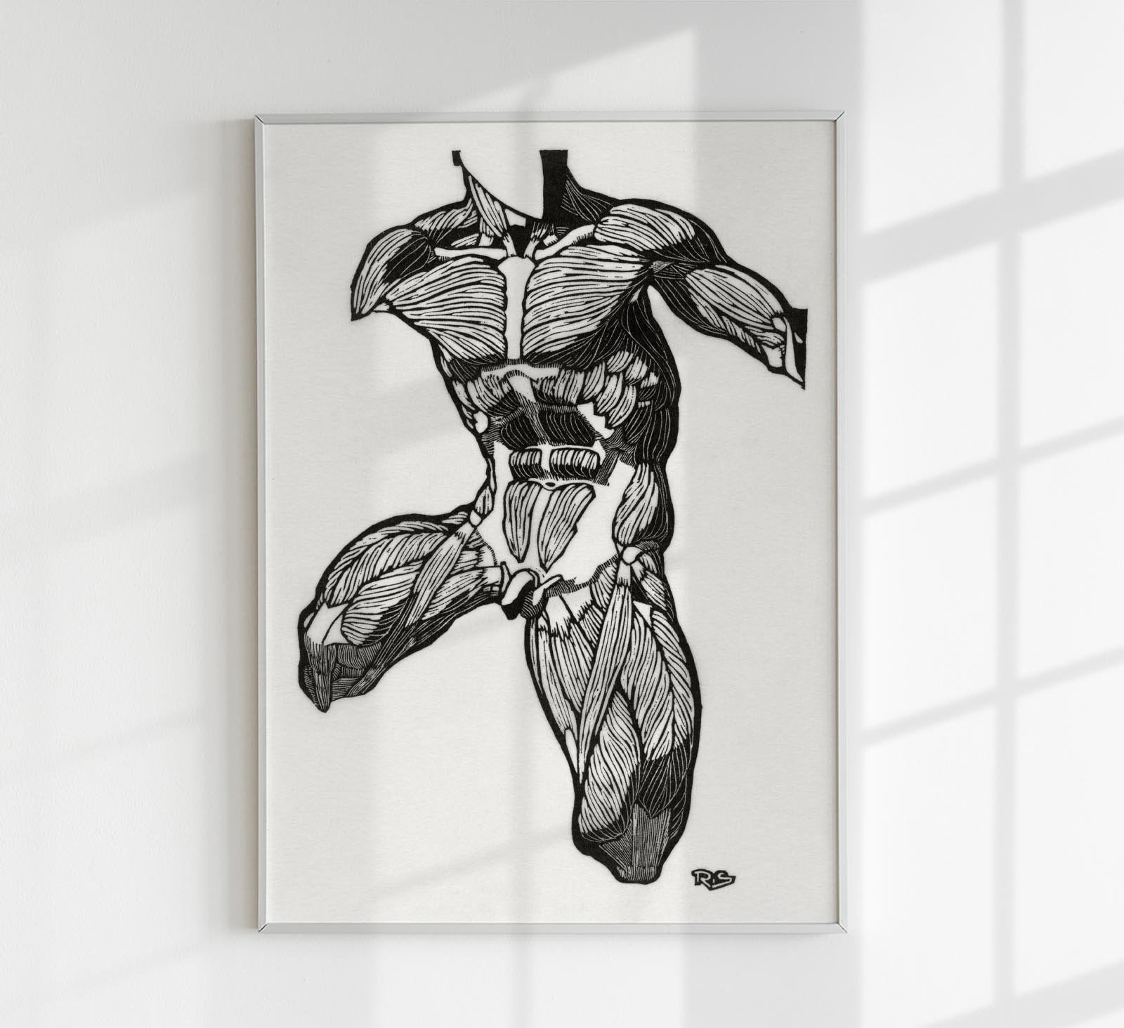 Anatomical Study Nr 11 by Reijer Stolk