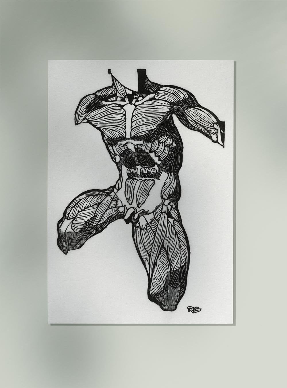 Anatomical Study Nr 11 by Reijer Stolk