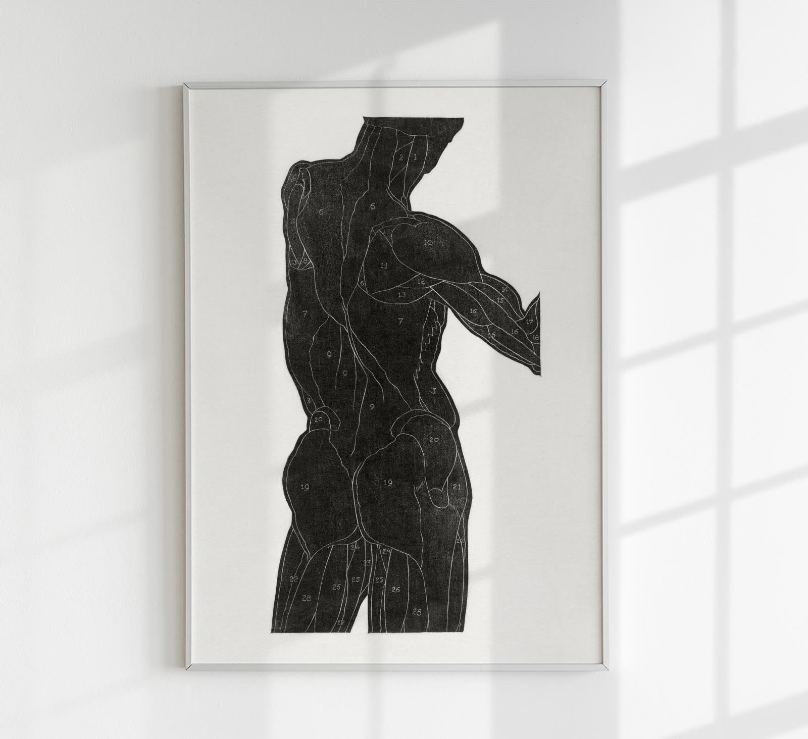 Anatomical Study Nr 13 by Reijer Stolk