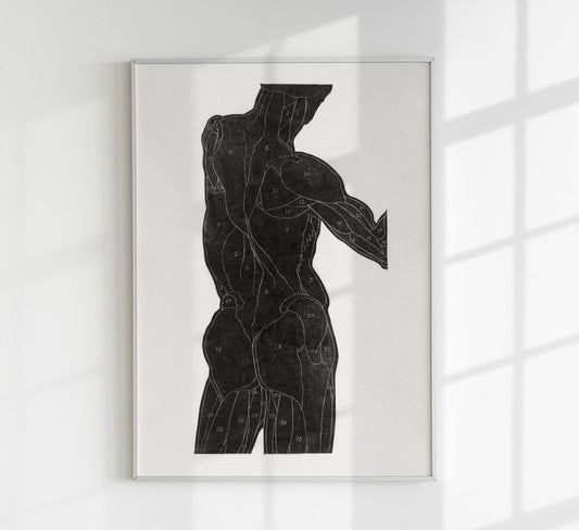 Anatomical Study Nr 13 by Reijer Stolk