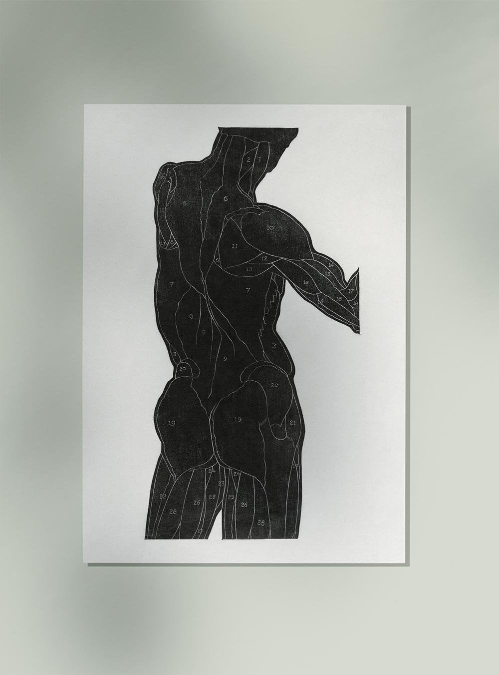 Anatomical Study Nr 13 by Reijer Stolk