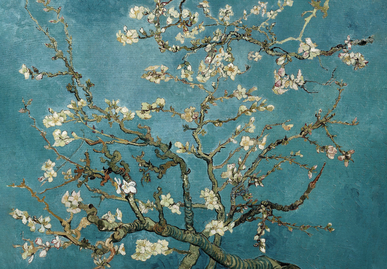 Almond Blossom by Van Gogh Poster