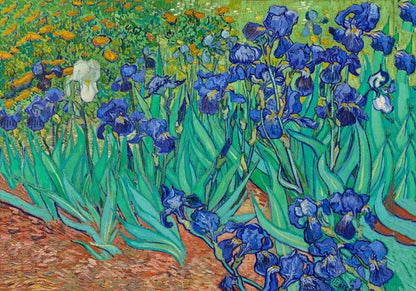 Irises by Van Gogh Art Poster