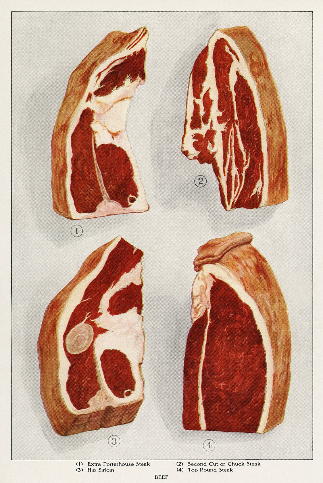 Beef 4 Pieces Vintage Druck, Vintage Print, Poster, Antique Illustration, Food, Barbecue - Kuriosis Vintage Prints