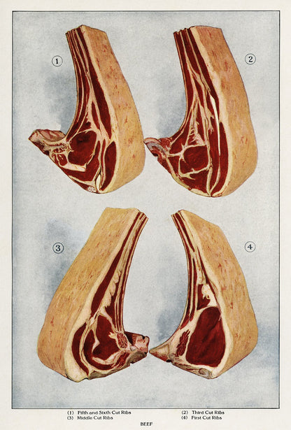 Beef 4 Pieces II Meat - Kuriosis Vintage Prints