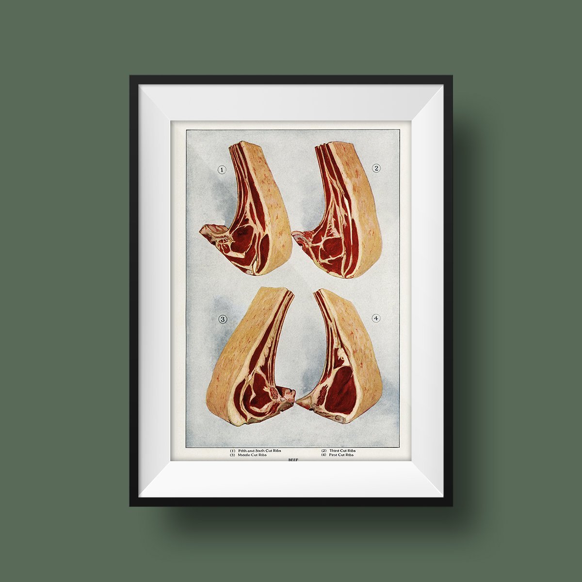 Beef 4 Pieces II Meat - Kuriosis Vintage Prints