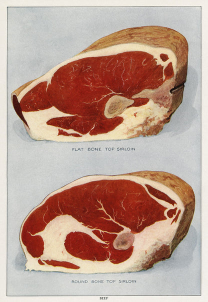 Beef Flat Bone Vintage Poster - Kuriosis Vintage Prints